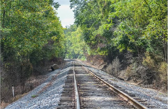 Tracks of a Modern-Day Hobo book cover