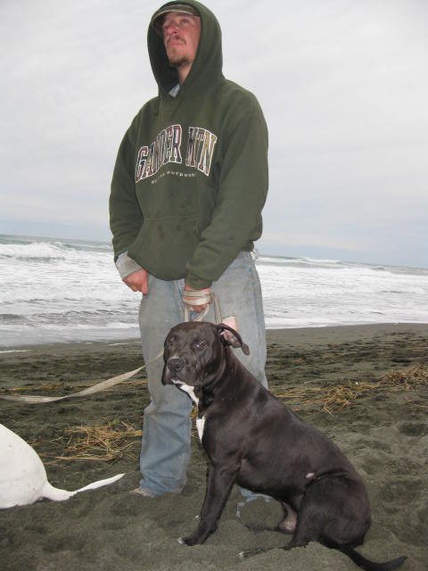 A loved one standing on a beach with a dog